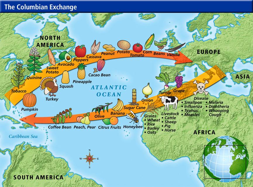 Columbian Exchange Technology Chart